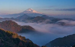 2020年4月25日黄历(2021年4月25日黄历吉日查询)