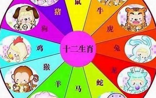 自学成才是什么生肖(自学成才是成语吗)