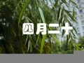 四月二十(四月二十一日是什么日子)