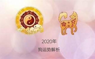 属狗2020年运势(属狗2020年运势及运程详解)